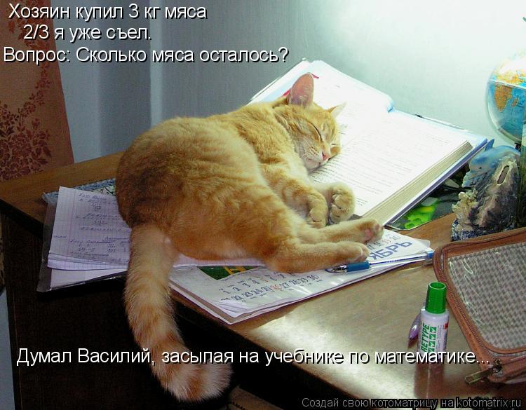 Хозяин купил 3 кг мяса 2/3 я уже съел. Вопрос: Сколько мяса осталось? Думал Василий, засыпая на учеб... Котоматрица: Хозяин купил 3 кг мяса 2/3 я уже съел. Вопрос: Сколько мяса осталось? Думал Василий, засыпая на учебнике по математике...
