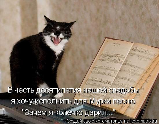 Котоматрица: В честь десятилетия нашей свадьбы я хочу исполнить для Мурки песню "Зачем я колечко дарил..."