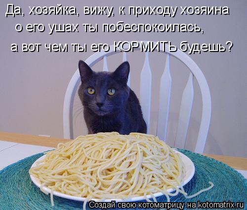 Котоматрица: Да, хозяйка, вижу, к приходу хозяина о его ушах ты побеспокоилась, а вот чем ты его КОРМИТЬ будешь?