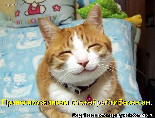 Котоматрица: Принесихозяинсам свежейрыбкиВасе-сан.