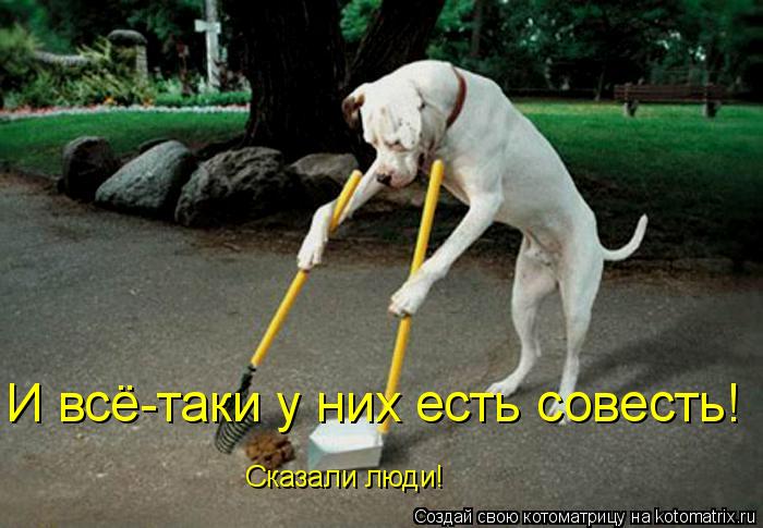 Котоматрица: И всё-таки у них есть совесть! Сказали люди!
