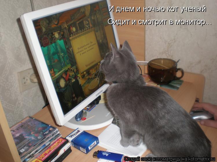 Котоматрица: И днем и ночью кот ученый Сидит и смотрит в монитор...
