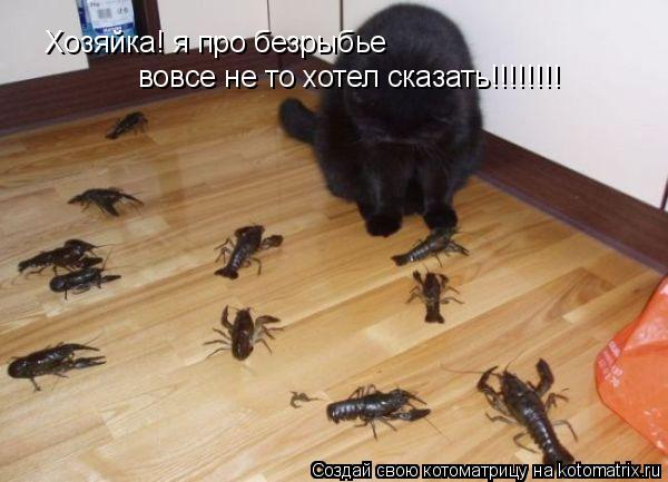 Котоматрица: Хозяйка! я про безрыбье  вовсе не то хотел сказать!!!!!!!!