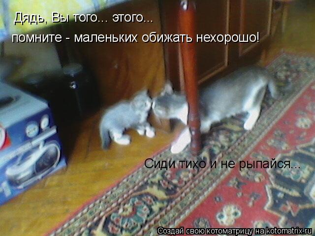Дядь, Вы того... этого... помните - маленьких обижать нехорошо! Сиди тихо и не рыпайся...... Котоматрица: Дядь, Вы того... этого... помните - маленьких обижать нехорошо! Сиди тихо и не рыпайся...