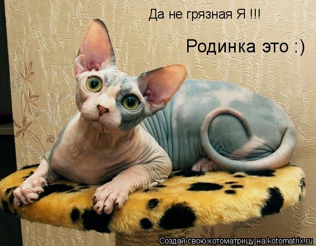 Котоматрица: Да не грязная Я !!! Родинка это :)