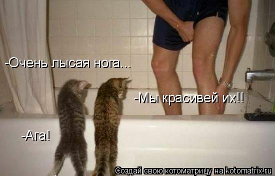 Котоматрица: -Очень лысая нога... -Мы красивей их!! -Ага!