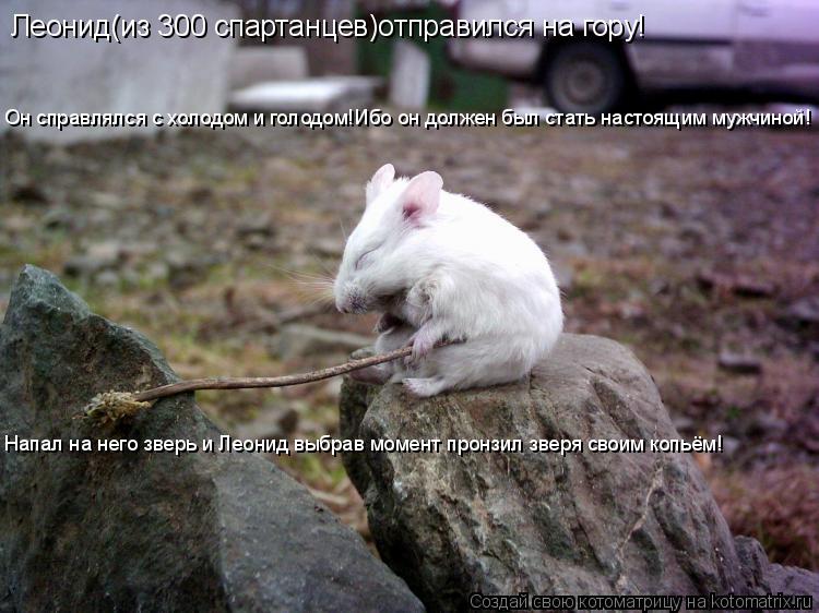 Котоматрица: Леонид(из 300 спартанцев)отправился на гору! Он справлялся с холодом и голодом!Ибо он должен был стать настоящим мужчиной! Напал на него звер