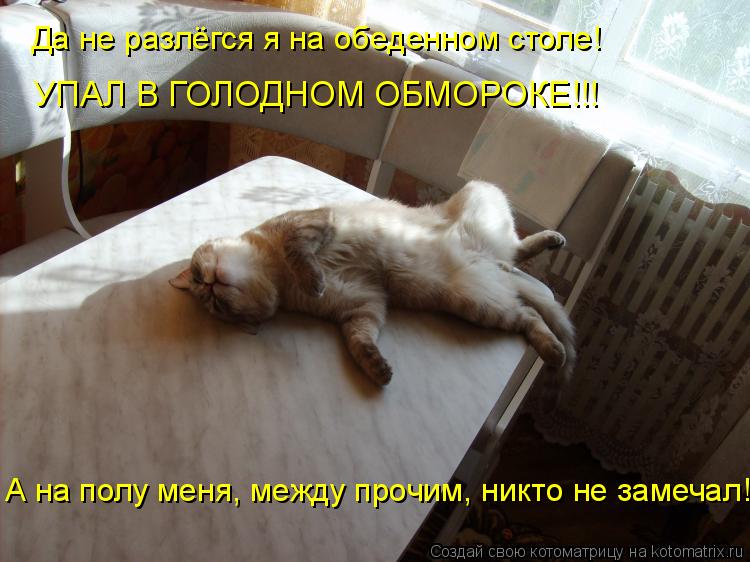 Да не разлёгся я на обеденном столе! УПАЛ В ГОЛОДНОМ ОБМОРОКЕ!!! А на полу меня, между прочим, никто ... Котоматрица: Да не разлёгся я на обеденном столе! УПАЛ В ГОЛОДНОМ ОБМОРОКЕ!!! А на полу меня, между прочим, никто не замечал!