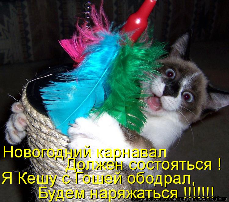 Должен состояться ! Я Кешу с Гошей ободрал, Будем наряжаться !!!!!!! Новогодний карнавал... Котоматрица: Должен состояться ! Я Кешу с Гошей ободрал, Будем наряжаться !!!!!!! Новогодний карнавал