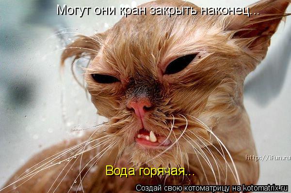 Вода горячая... Могут они кран закрыть наконец...... Котоматрица: Вода горячая... Могут они кран закрыть наконец...