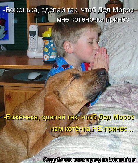 -Боженька, сделай так, чтоб Дед Мороз мне котёночка принёс... -Боженька, сделай так, чтоб Дед Мороз ... Котоматрица: -Боженька, сделай так, чтоб Дед Мороз мне котёночка принёс... -Боженька, сделай так, чтоб Дед Мороз нам котёнка НЕ принёс...