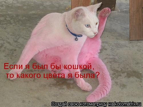 Если я был бы кошкой, то какого цвета я была?... Котоматрица: Если я был бы кошкой, то какого цвета я была?