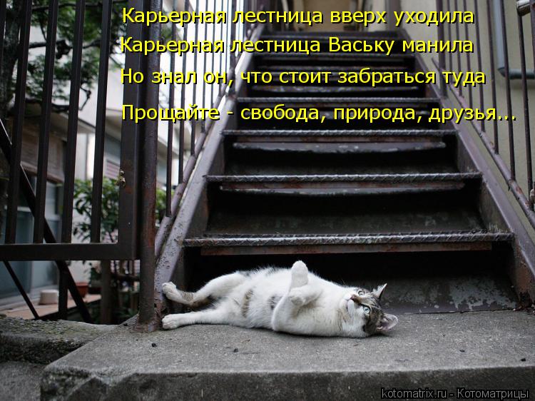 Карьерная лестница вверх уходила Карьерная лестница Ваську манила Но знал он, что стоит забраться туд... Котоматрица: Карьерная лестница вверх уходила Карьерная лестница Ваську манила Но знал он, что стоит забраться туда Прощайте - свобода, природа, друзья..