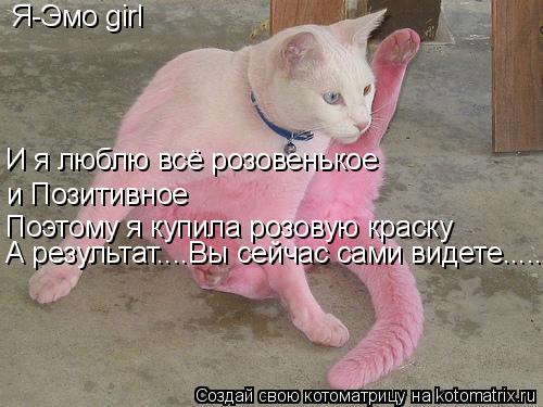 Котоматрица: Я-Эмо girl И я люблю всё розовенькое и Позитивное Поэтому я купила розовую краску А результат....Вы сейчас сами видете.....