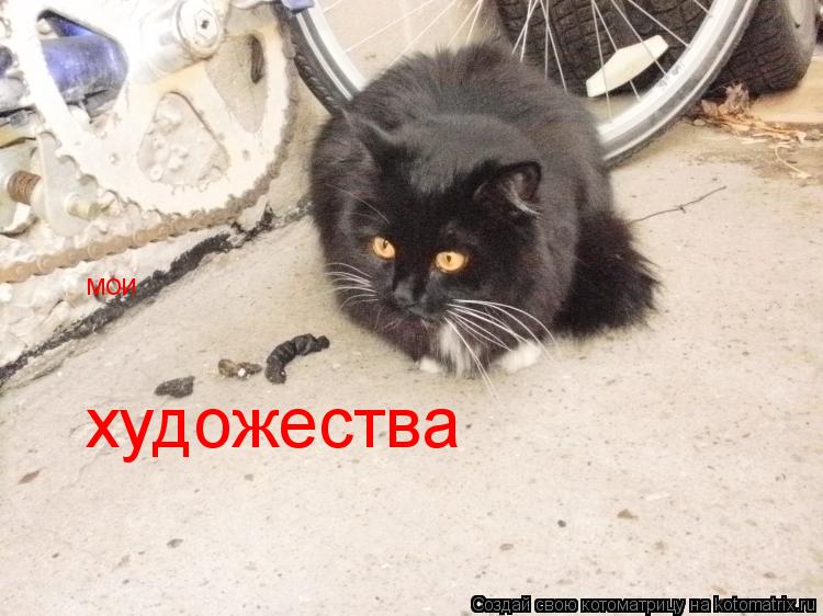 Котоматрица: мои художества