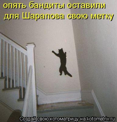 Котоматрица: опять бандиты оставили    для Шарапова свою метку ,