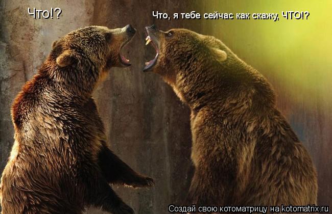 Котоматрица: Что!? Что, я тебе сейчас как скажу, ЧТО!?