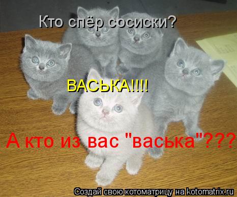 Котоматрица: Кто спёр сосиски? ВАСЬКА!!!! А кто из вас "васька"????