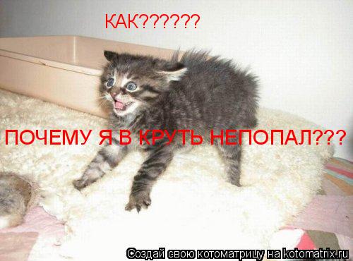 Котоматрица: КАК?????? ПОЧЕМУ Я В КРУТЬ НЕПОПАЛ???