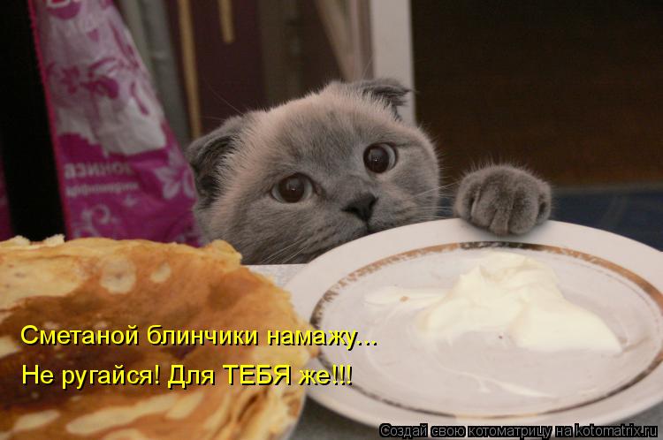Котоматрица: Сметаной блинчики намажу... Не ругайся! Для ТЕБЯ же!!!