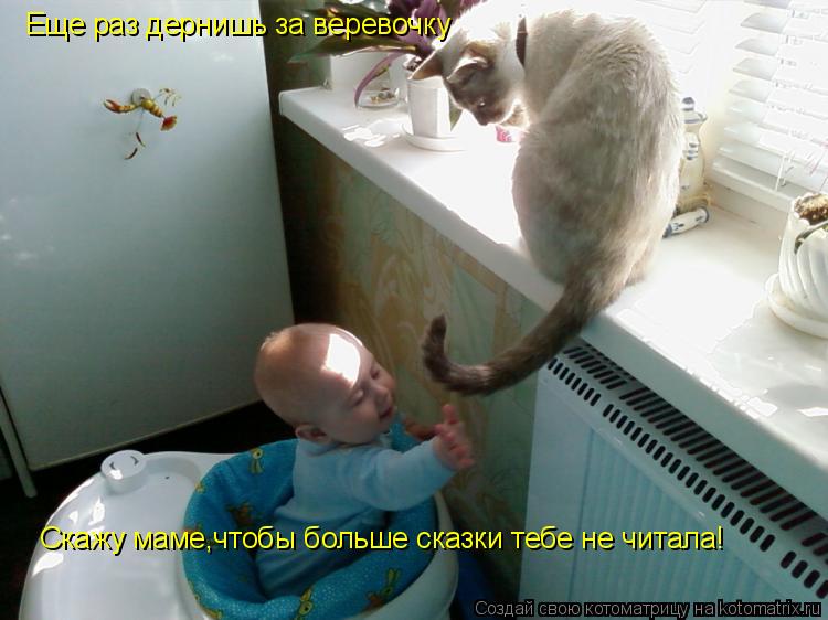 Котоматрица: Еще раз дернишь за веревочку  Скажу маме,чтобы больше сказки тебе не читала!