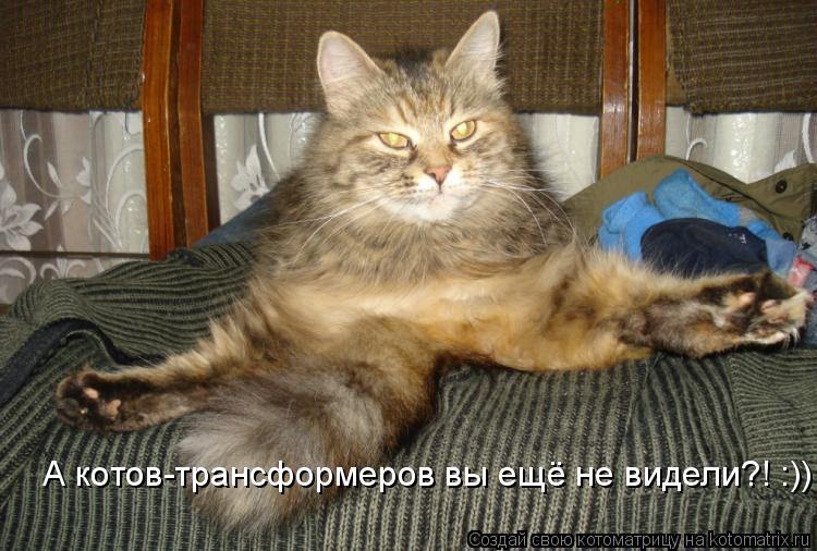 Котоматрица: А котов-трансформеров вы ещё не видели?! :))