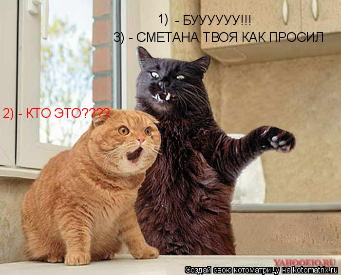 2) - КТО ЭТО???? - БУУУУУУ!!! 3) - СМЕТАНА ТВОЯ КАК ПРОСИЛ 1)... Котоматрица: 2) - КТО ЭТО???? - БУУУУУУ!!! 3) - СМЕТАНА ТВОЯ КАК ПРОСИЛ 1)