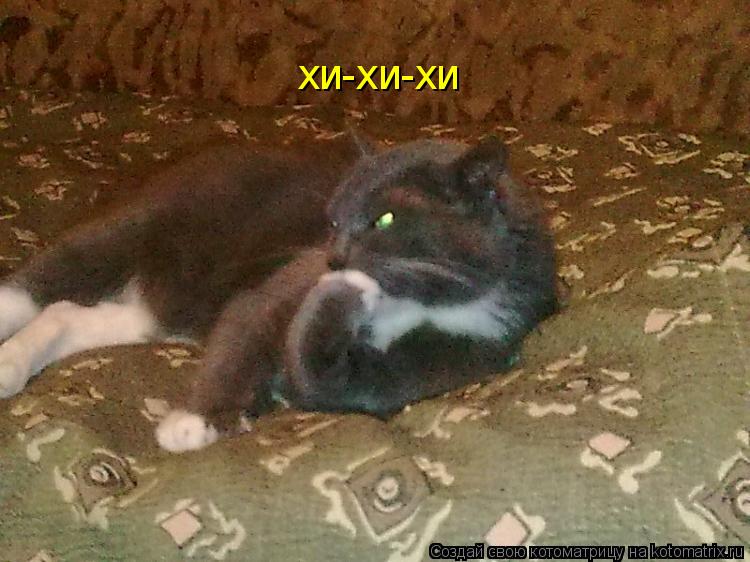 хи-хи-хи... Котоматрица: хи-хи-хи