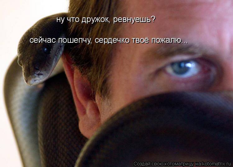 ну что дружок, ревнуешь? сейчас пошепчу, сердечко твоё пожалю...... Котоматрица: ну что дружок, ревнуешь? сейчас пошепчу, сердечко твоё пожалю...