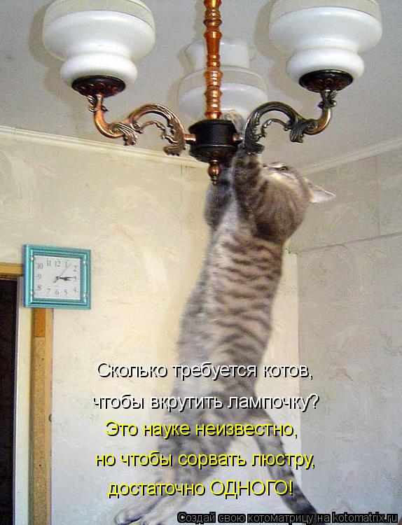 Котоматрица: Сколько требуется котов,  чтобы вкрутить лампочку? Это науке неизвестно,  но чтобы сорвать люстру,  достаточно ОДНОГО!