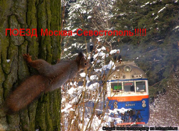 Котоматрица: ПОЕЗД Москва-Севостополь!!!!!