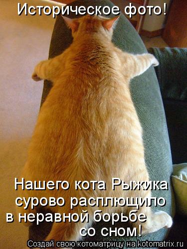 Котоматрица: Историческое фото! Нашего кота Рыжика сурово расплющило в неравной борьбе  со сном!