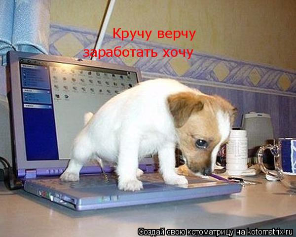 Котоматрица: Кручу верчу  заработать хочу