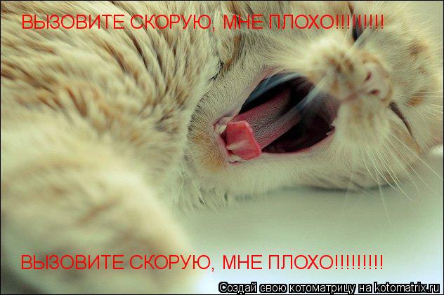 Котоматрица: ВЫЗОВИТЕ СКОРУЮ, МНЕ ПЛОХО!!!!!!!!! ВЫЗОВИТЕ СКОРУЮ, МНЕ ПЛОХО!!!!!!!!!