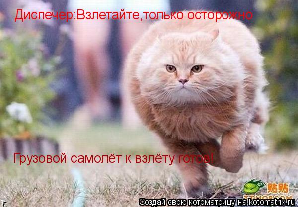 Котоматрица: Грузовой самолёт к взлёту готов! Диспечер:Взлетайте,только осторожно
