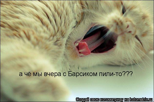 Котоматрица: а чё мы вчера с Барсиком пили-то???