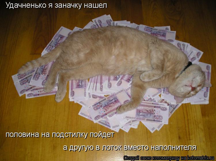 Котоматрица: Удачненько я заначку нашел половина на подстилку пойдет а другую в лоток вместо наполнителя