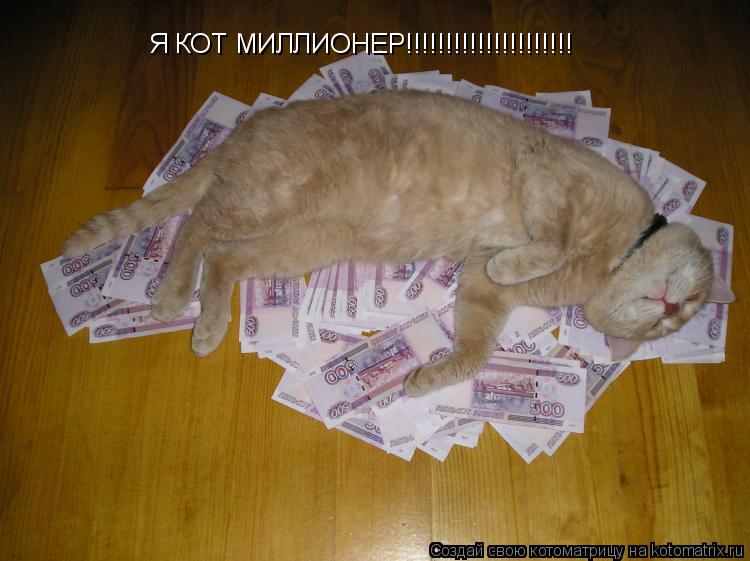 Котоматрица: Я КОТ МИЛЛИОНЕР!!!!!!!!!!!!!!!!!!!!!