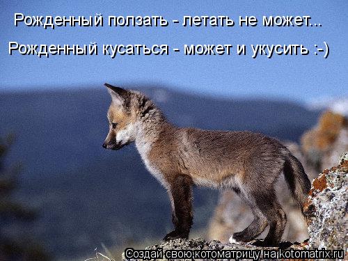Рожденный ползать - летать не может... Рожденный кусаться - может и укусить :-)... Котоматрица: Рожденный ползать - летать не может... Рожденный кусаться - может и укусить :-)