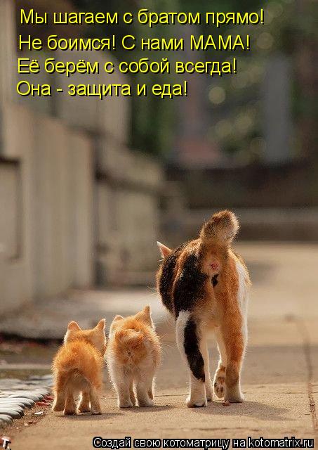 Мы шагаем с братом прямо! Не боимся! С нами МАМА! Её берём с собой всегда! Она - защита и еда!... Котоматрица: Мы шагаем с братом прямо! Не боимся! С нами МАМА! Её берём с собой всегда! Она - защита и еда!