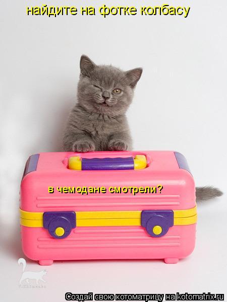 найдите на фотке колбасу в чемодане смотрели?... Котоматрица: найдите на фотке колбасу в чемодане смотрели?