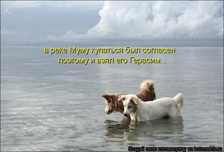 в реке Муму купаться был согласен поэтому и взял его Герасим...... Котоматрица: в реке Муму купаться был согласен поэтому и взял его Герасим...