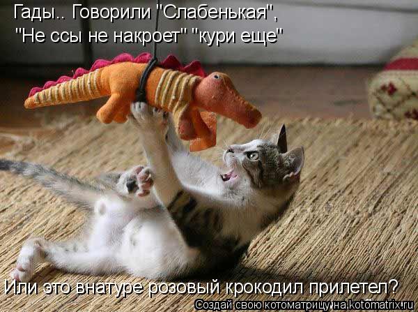 Гады.. Говорили "Слабенькая", "Не ссы не накроет" "кури еще" Или это внатуре розовый крокодил прилете... Котоматрица: Гады.. Говорили "Слабенькая", "Не ссы не накроет" "кури еще" Или это внатуре розовый крокодил прилетел?