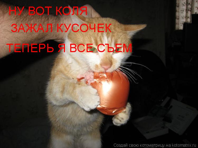 НУ ВОТ КОЛЯ ЗАЖАЛ КУСОЧЕК ТЕПЕРЬ Я ВСЕ СЪЕМ... Котоматрица: НУ ВОТ КОЛЯ ЗАЖАЛ КУСОЧЕК ТЕПЕРЬ Я ВСЕ СЪЕМ