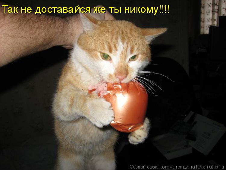 Котоматрица: Так не доставайся же ты никому!!!!