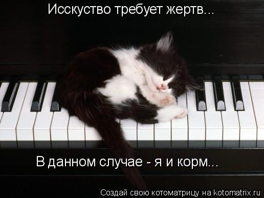 Исскуство требует жертв... В данном случае - я и корм...... Котоматрица: Исскуство требует жертв... В данном случае - я и корм...