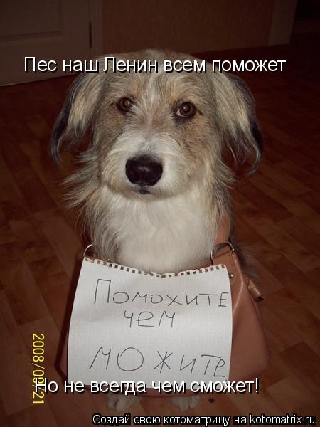 Котоматрица: Пес наш Ленин всем поможет Но не всегда чем сможет!