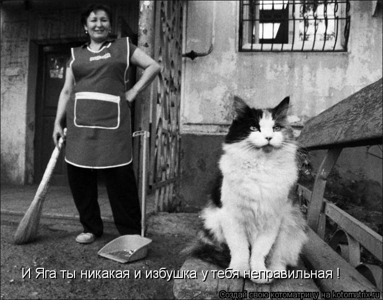 И Яга ты никакая и избушка у тебя неправильная !... Котоматрица: И Яга ты никакая и избушка у тебя неправильная !