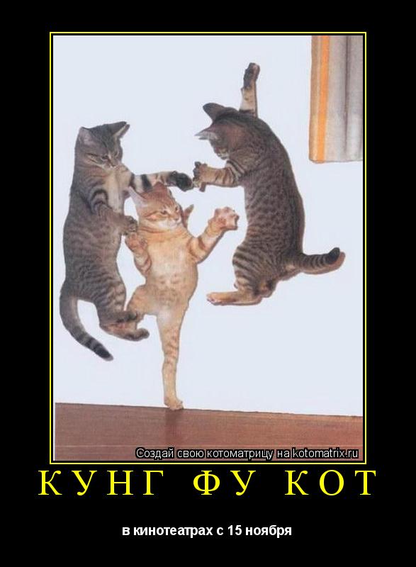 кунг фу кот в кинотеатрах с 15 ноября... Котоматрица: кунг фу кот в кинотеатрах с 15 ноября