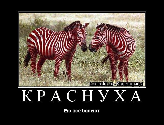 Котоматрица: Краснуха Ею все болеют